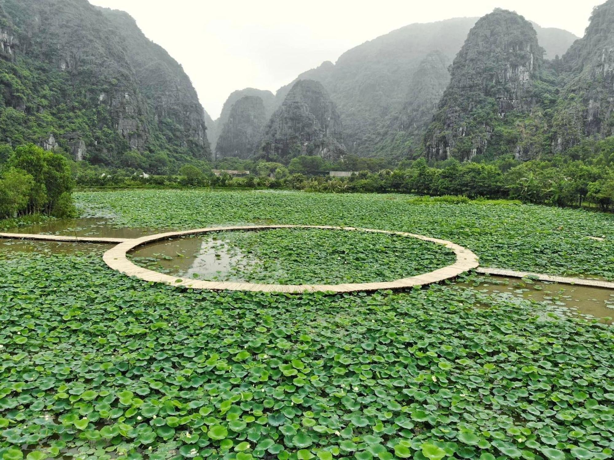 Halise Home And Retreat Ninh Binh Bagian luar foto